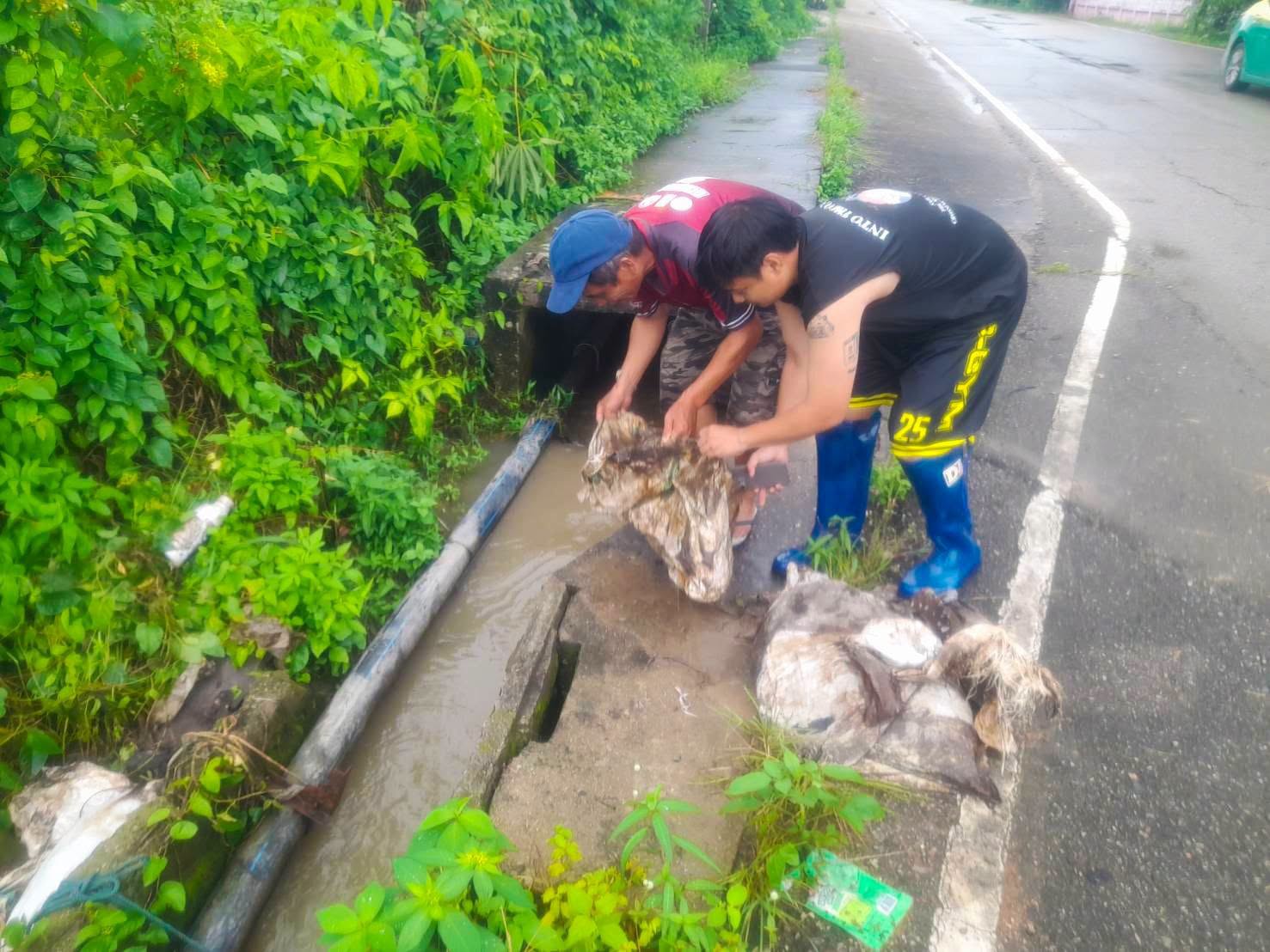 เทศบาลตำบลเวียงพร้าว สำรวจและทำความสะอาดทางระบายน้ำ ป้องกันน้ำท่วมขัง